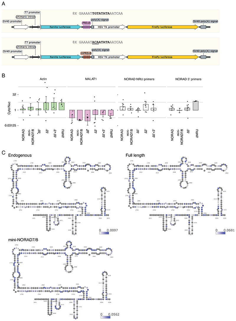 Extended Data Fig. 5