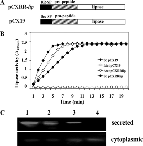 FIG. 3.