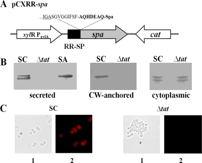 FIG. 4.