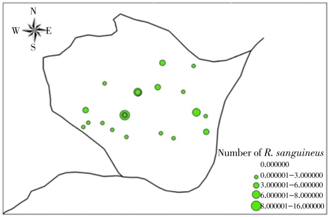 Figure 3.