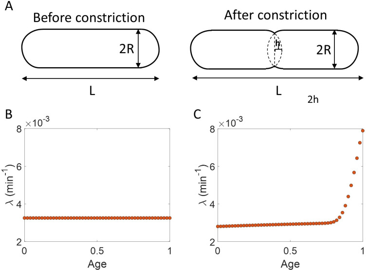 Appendix 1—figure 1.