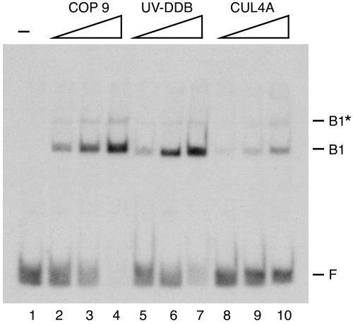 FIG. 5.