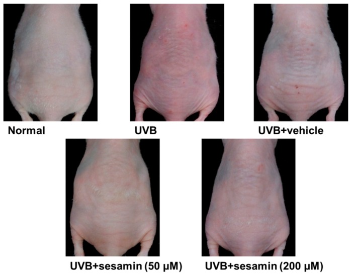 Figure 15