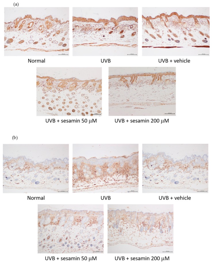 Figure 18