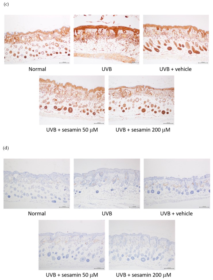 Figure 18