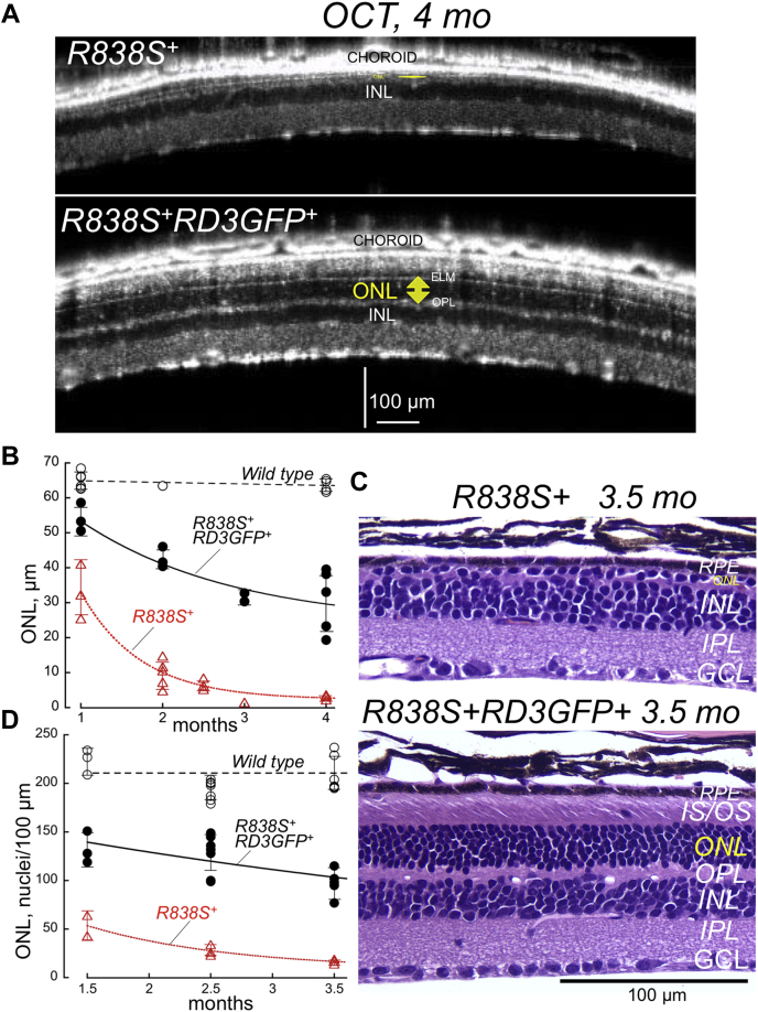 Figure 4