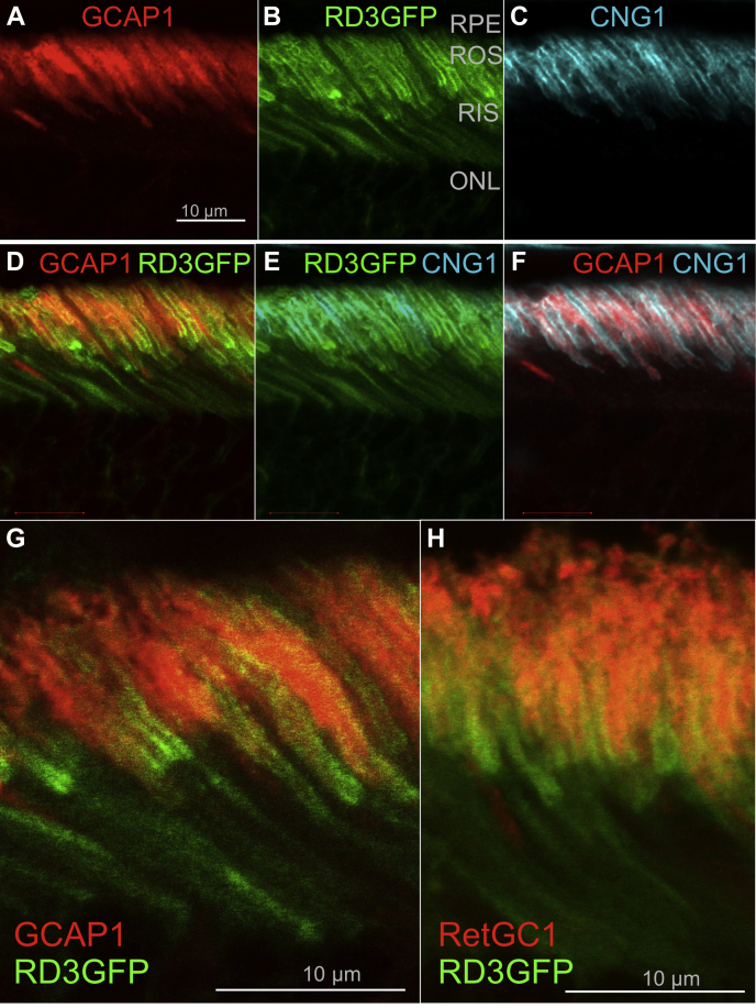 Figure 6