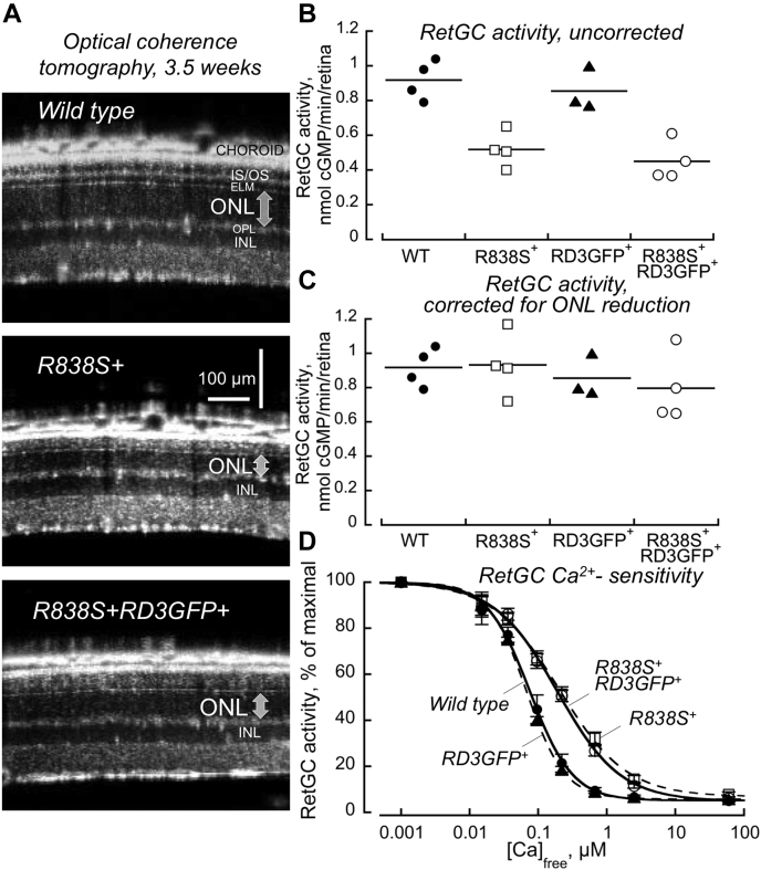 Figure 3