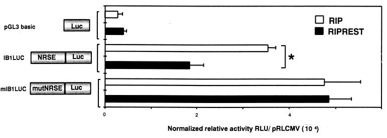 FIG. 6