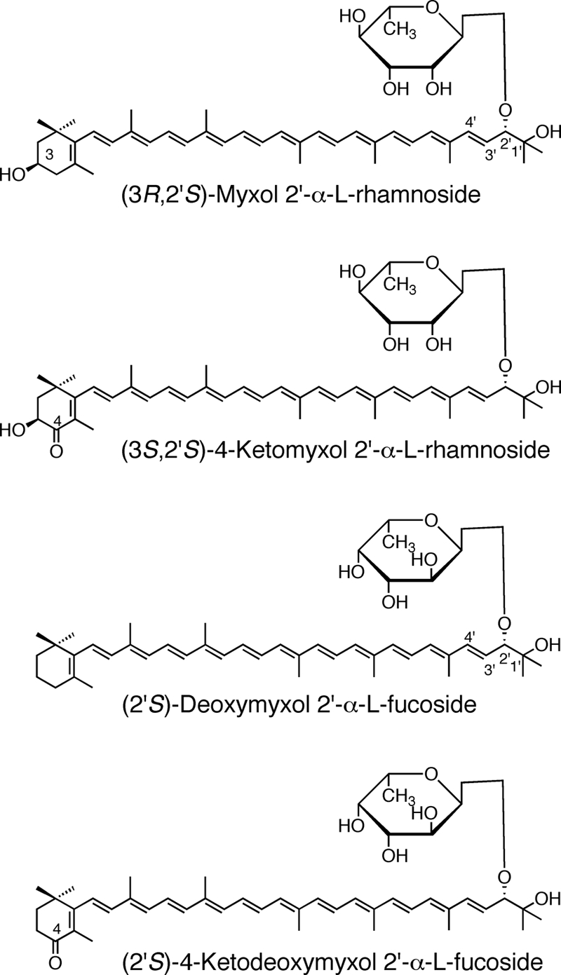 FIG. 5.