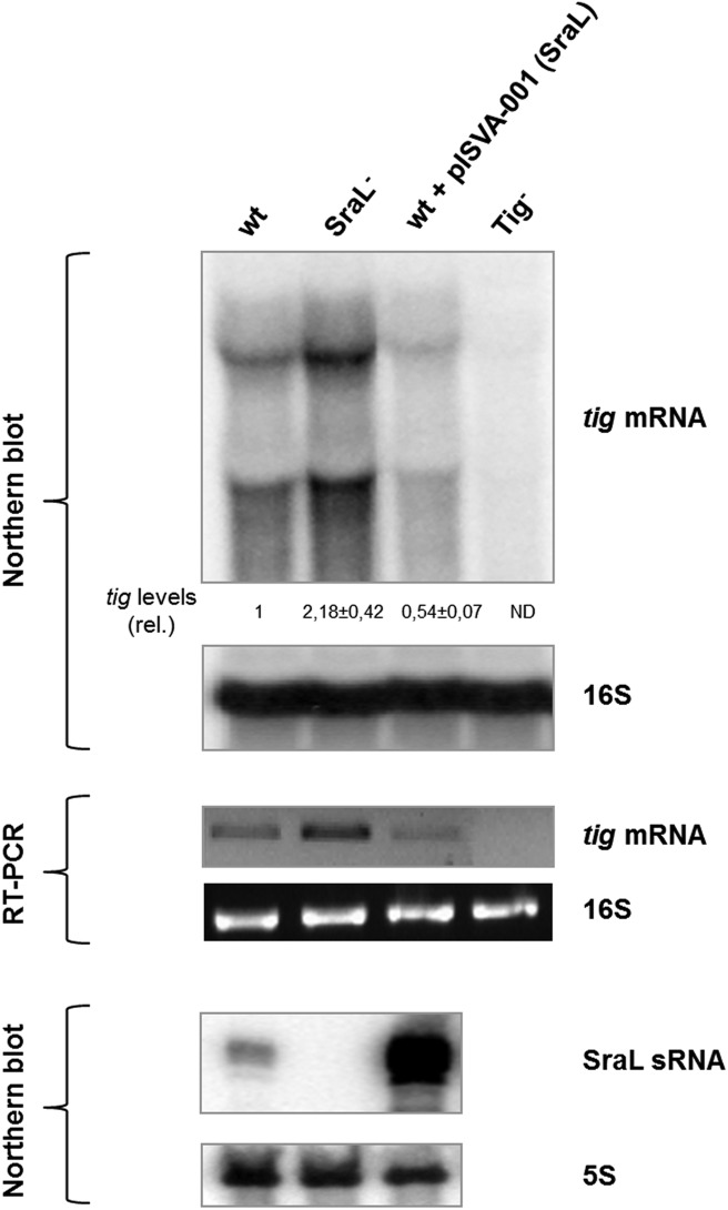 FIGURE 4.