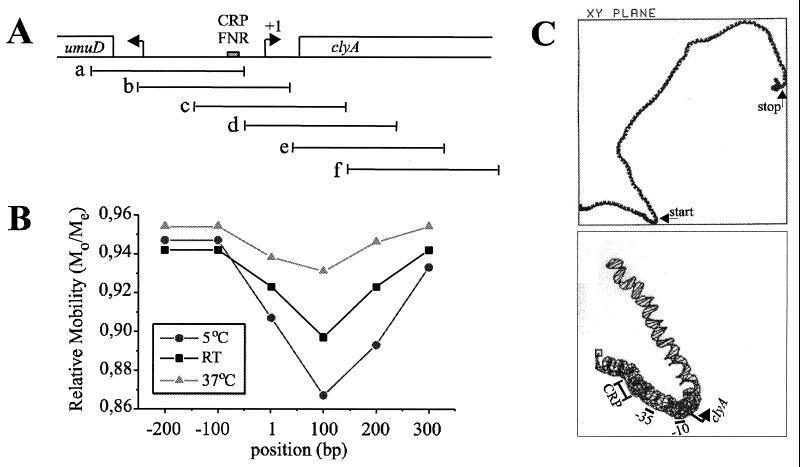 FIG. 7