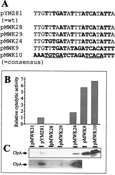 FIG. 5