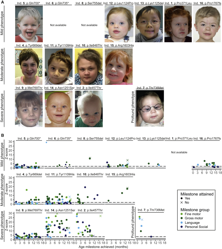 Figure 1