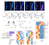 Extended Data Figure 1 |
