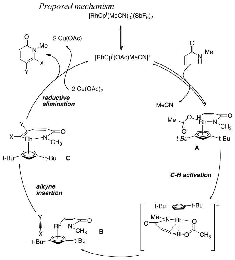 Scheme 2