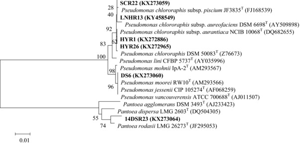 Figure 2