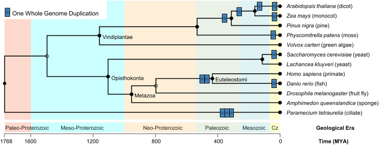 Fig. 1