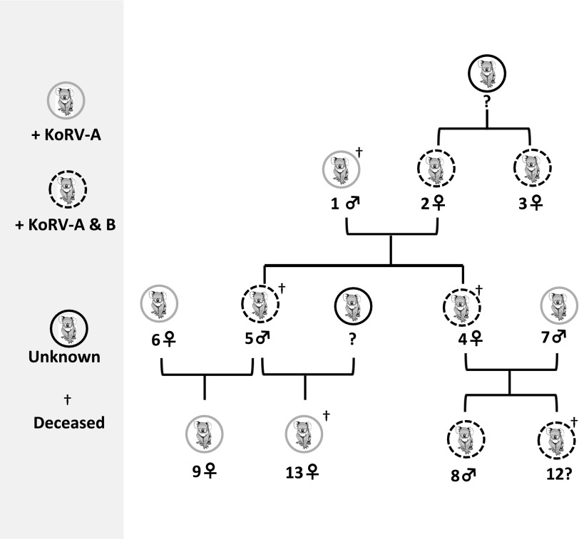 Fig. 6.