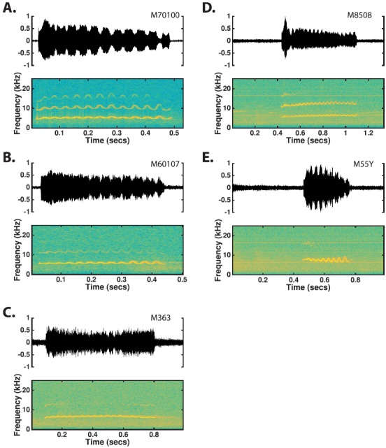 FIG. 7.