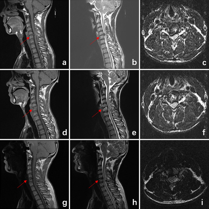 Fig. 5