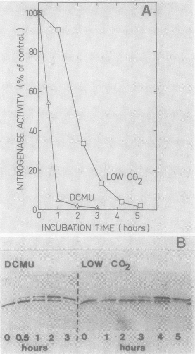 FIG. 5