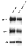 Fig.1