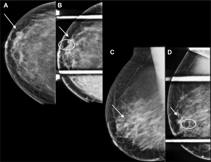 Fig. 7