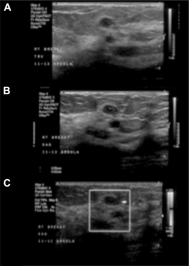 Fig. 8