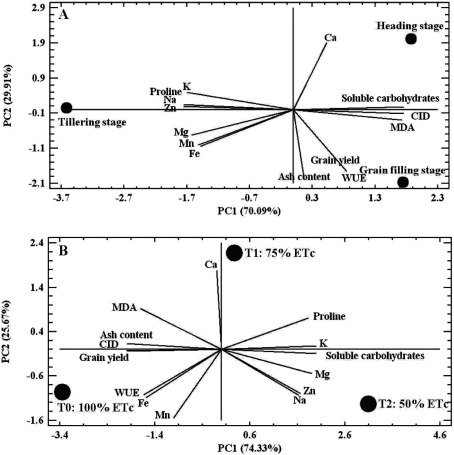 Figure 5. The scatter plot of PC1/PC2 plane showing the relationships between different growth stages (A) and different irrigation treatments (B) with the measured traits.