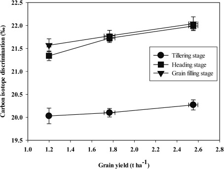 Figure 4. Relationships between carbon isotope discrimination (‰) and grain yield (t ha−1) in two barley landraces studied across three growth stages (R2=0.98, 0.96 and 0.99 for tillering, heading and grain filling stages, respectively). For each growth stage, the data points from the left to the right correspond to the irrigation treatments (T0, T1 and T2, respectively). Data points are the mean values±SE (n=3).