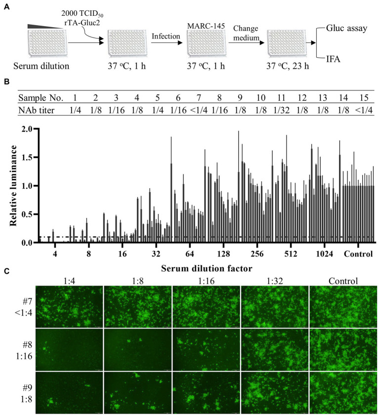 Figure 5