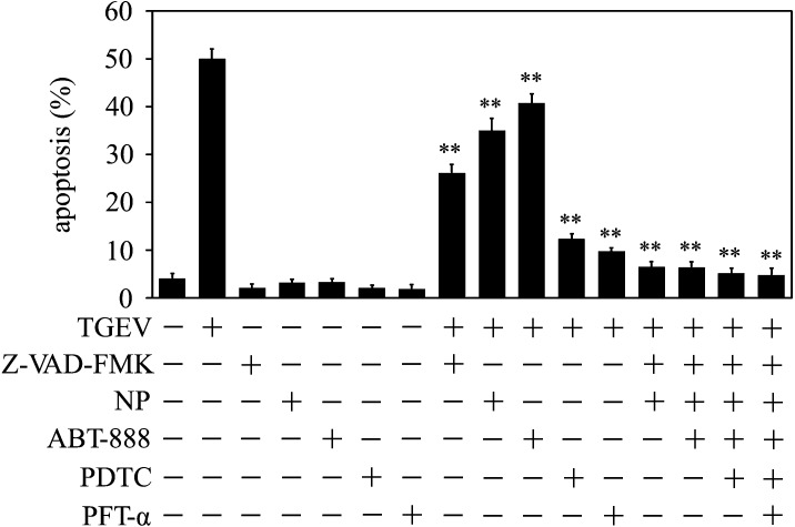 Fig. 5.