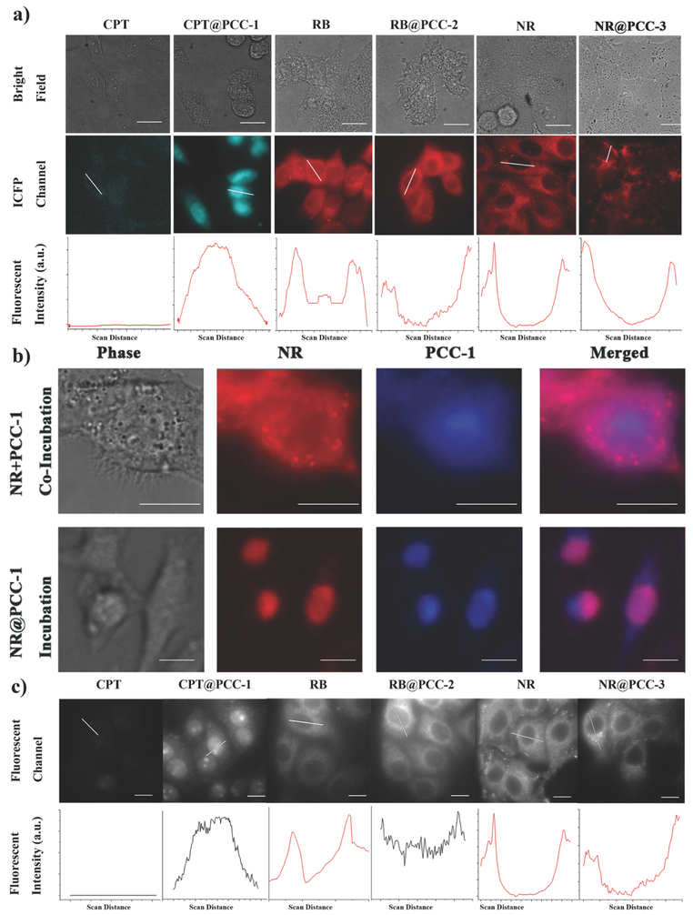 Figure 3: