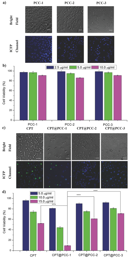 Figure 4: