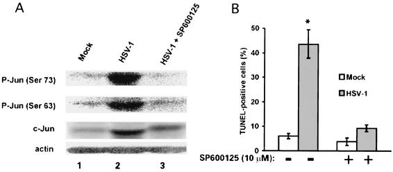 FIG. 11.