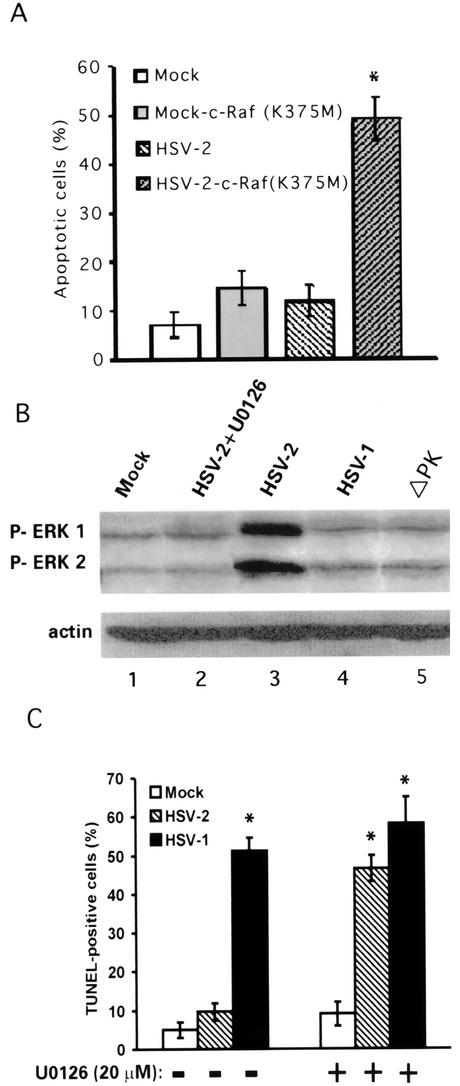 FIG. 5.