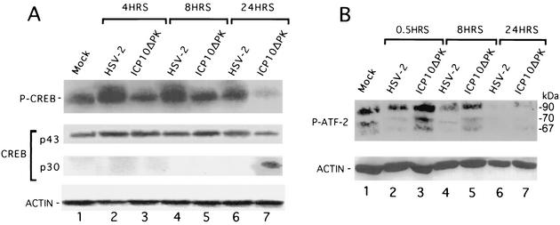 FIG. 9.