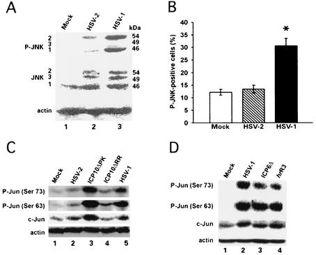 FIG. 10.