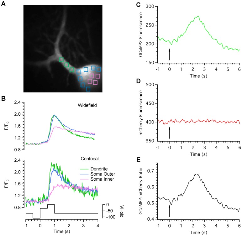 Figure 6