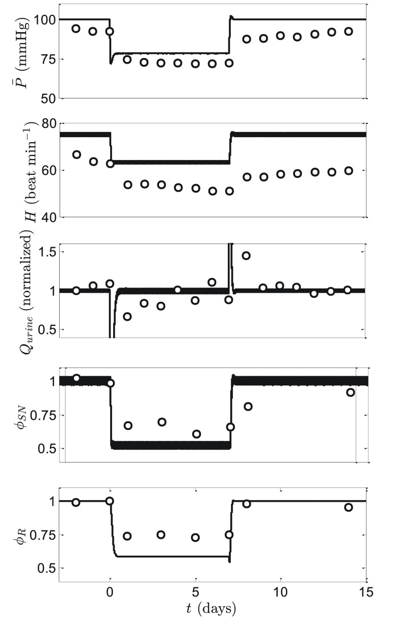 Figure 9. 