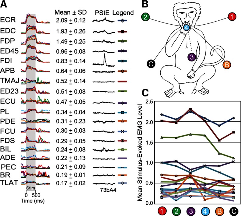 Figure 4.