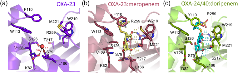 Fig. 10