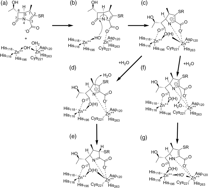 Fig. 7