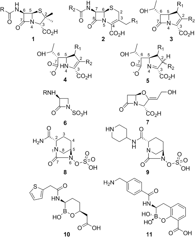 Fig. 1