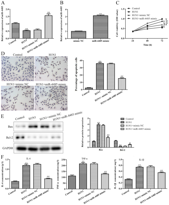 Figure 2.