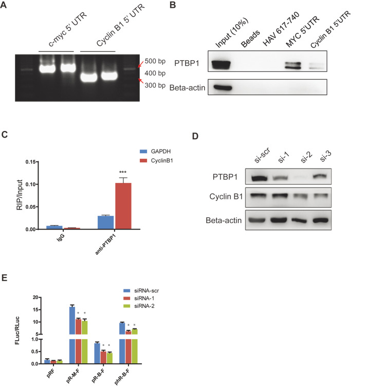 
Figure2
