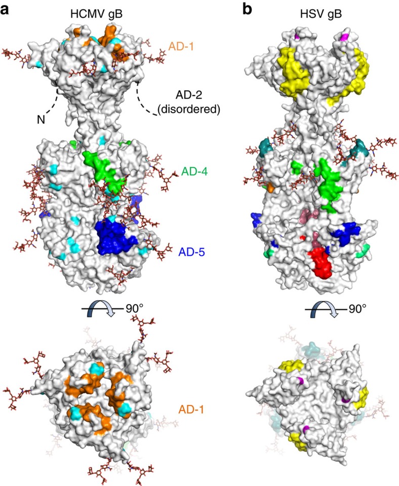 Figure 6