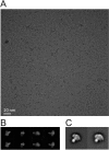 Fig. S6.