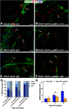 Figure 11.